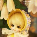 몽요요
