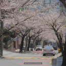 동삼1동-3 이미지