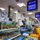 일호수산 네이버블로그