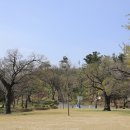 황성공원 풋살구장 이미지