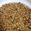 단일농장 이미지