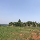 금와목장 | [경남 하동 가볼만한 곳] 금와목장 체험후기