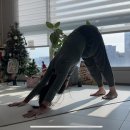 요가 C반 | 219. 요가 수련하는 이야기 ㅣ 손목병자의 요가ㅣ만두카프로 손발 너무 밀림후기