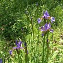 덕인주유소 이미지