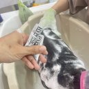 창원고양이미용 무냥무냥 이미지