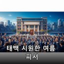 한류파트너스 | 태백 고원 피서지에서 즐기는 여름 여행: 태양의 후예 촬영지와 물닭갈비 맛집까지