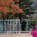 상평현서분교 이미지