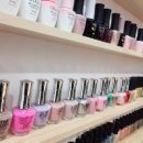 비숍(b shop)