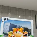 중앙대로260번길 | 부산 초량 과학체험관 후기｜일요일 현장접수 가능! 무료관람 + 화산폭발 수업까지 알찼던 하루