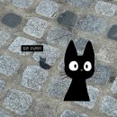 일산현대약국 | [2025-49] 그만 그만 아프자고요 미친 세상아