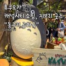 후쿠오카 캐널시티 쇼핑리스트 2탄 동구리 공화국 기념품 가격비교