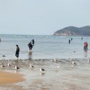 하나개해수욕장 이미지