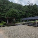 오송송어장 이미지