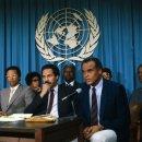 트리머펫 이미지