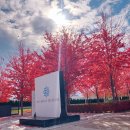 칸(KHAN) | 토론토 박물관, Aga Khan Museum/아가 칸 박물관 무료입장 관람 후기