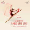 하남문화예술회관 대극장 이미지