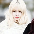 모모사 이미지