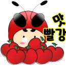 2023-0005 이미지