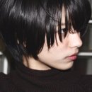 와드(WAD) 이미지