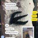 자단연원 이미지