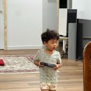 현이목장 Daum카페