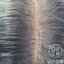 모리점빵 티스토리