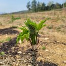 엄나무골농장 이미지