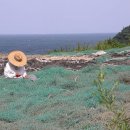 만석부두로 이미지