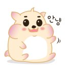 가연쌀롱