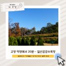 원흥목장 | 고양 덕양에서 20분… 일산공감수목장을 본 순간 가족들이 “여기다”라고 말한 이유