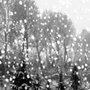 시가 있는 저녁 이미지