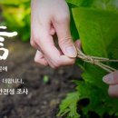 주식회사 진향
