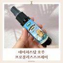 네이쳐스 온 | 환절기 필수템 찾았다! 네이쳐스탑 호주프로폴리스스프레이 온가족 구강케어 후기