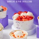 아이스크림민족 네이버블로그