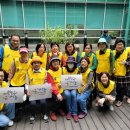 힐링정원 이미지