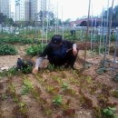 화영농장2 이미지