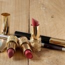 에스엔피 이미지