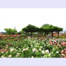 곡성-060 티스토리