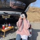 벌교 코리아나(돈까스맛집), 셀토스 차크닉, 샤오토 트렁크매트 후기