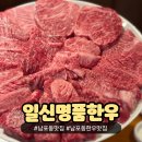 일신생고기 | 부산 남포동 한우 맛집 일신명품한우 유튜버 정육왕 추천 투쁠++(9)최상급 암소 한우