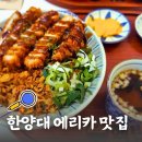 한양대 에리카 맛집 핵밥 안산한양대점 라멘 덮밥 추천