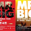 미스터빅 이미지