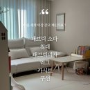 스톰케어 | 침구청소기 추천! 아토케어 듀얼스톰 사용 후기 & 공구 OPEN