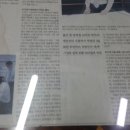 백합사 이미지
