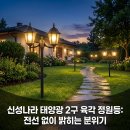 태양전기조명 | 신성나라 태양광 정원등 2구 육각 말뚝형 센서등 후기｜전기 없이 설치하는 야외 조명 추천