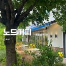 반려견과 함께한 별내 카페거리 데이트｜노드커피 감성 디저트카페 솔직 리뷰