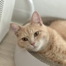 송파 마리동물병원 이미지