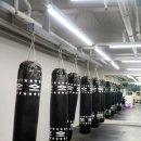 와일드 짐 이미지