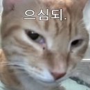 닥터진치과의원 이미지