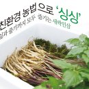 수인농장 이미지